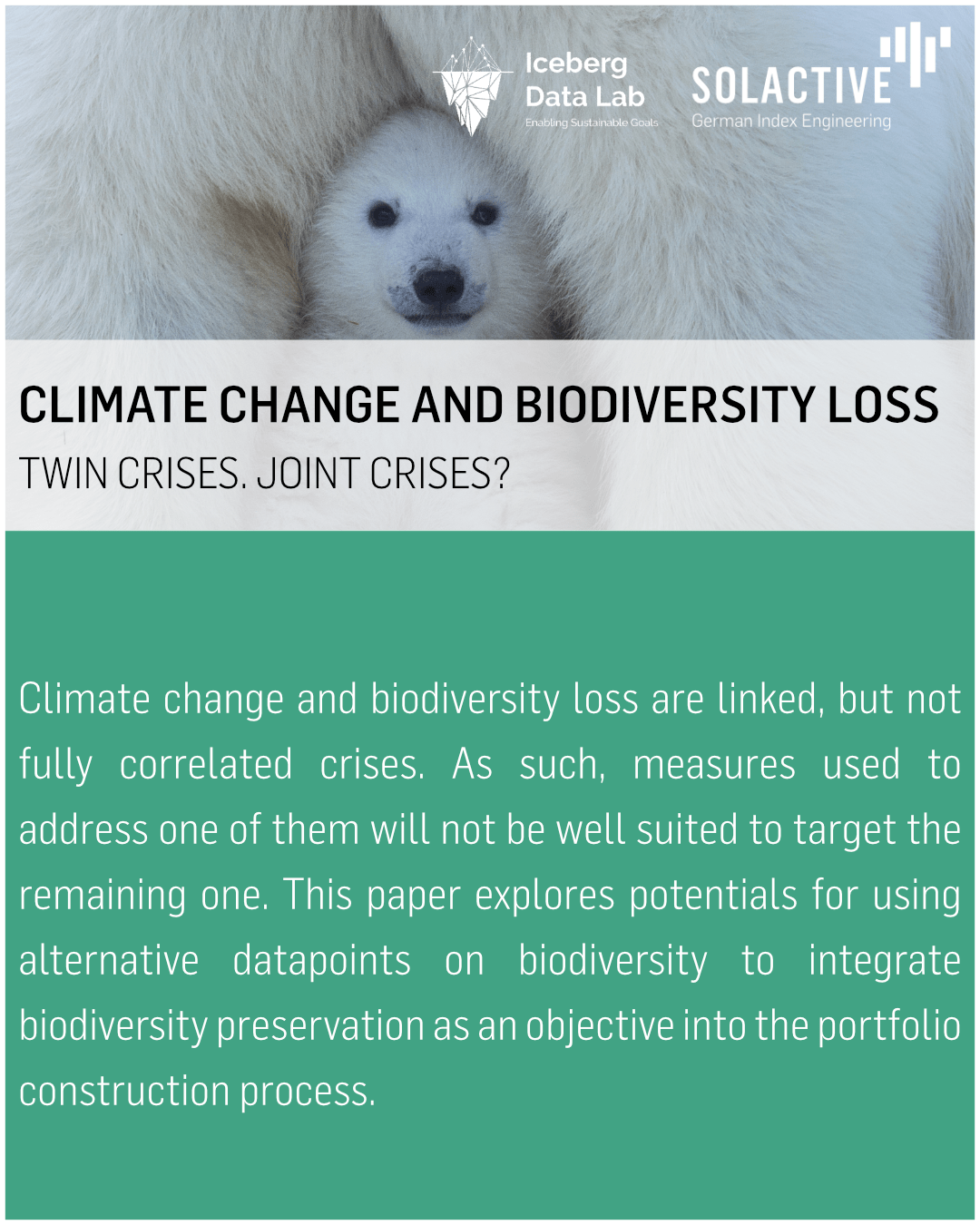 Solactive Solactive Biodiversity Index - Sunset Texture Collection - HD Quality
